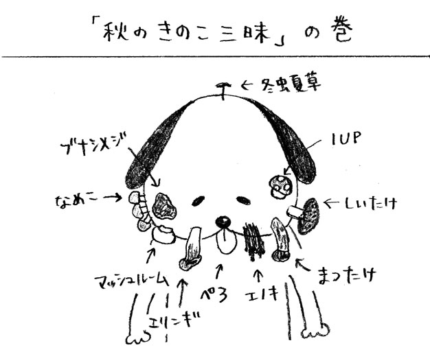 ʑYQUV